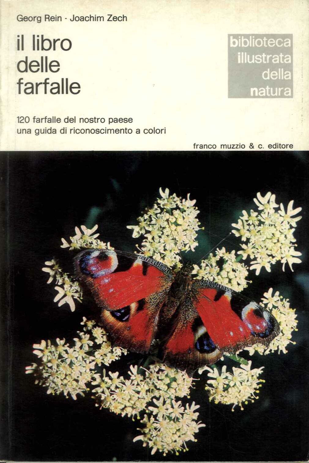 Il libro delle farfalle